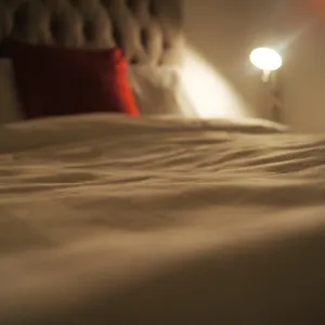 The Guest house
